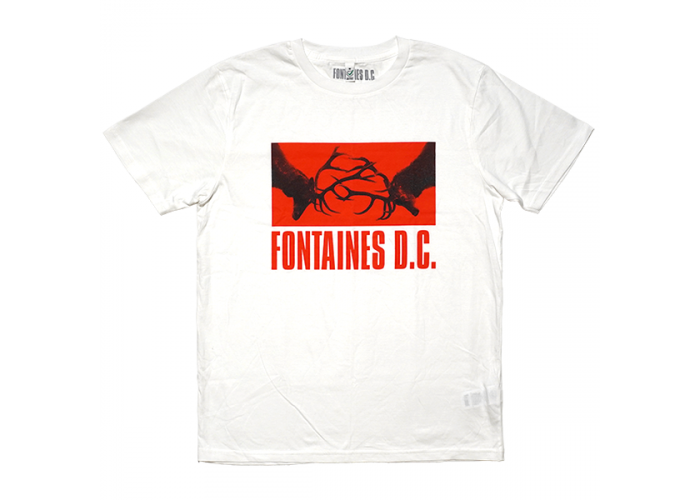 Fontaines D.C.（フォンテインズ DC）『Skinty Fia』バンドTシャツ 初期ロゴ違い 