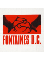 Fontaines D.C.（フォンテインズ DC）『Skinty Fia』バンドTシャツ 初期ロゴ違い 