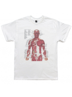 Nirvana カート・コバーン着用 人体解剖図Tシャツ 90sヴィンテージ復刻 筋肉系 キン肉マン