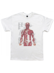 Nirvana カート・コバーン着用 人体解剖図Tシャツ 90sヴィンテージ復刻 筋肉系 キン肉マン