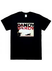 The Jesus and Mary Chain（ジーザス＆メリーチェイン）Psychocandy バンドTシャツ